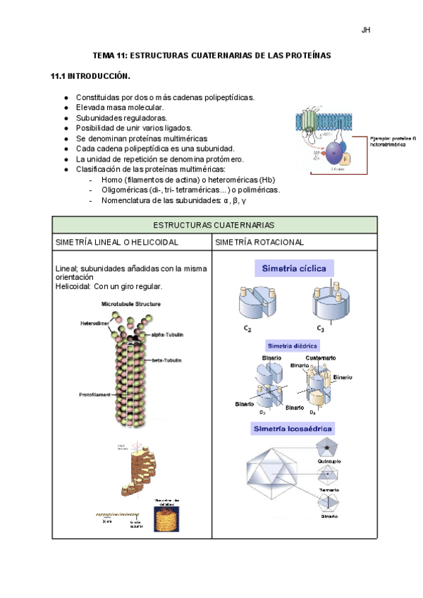 Miniatura del documento 11-ESTRUCTURAS-CUATERNARIAS-DE-LAS-PROTEINAS.pdf