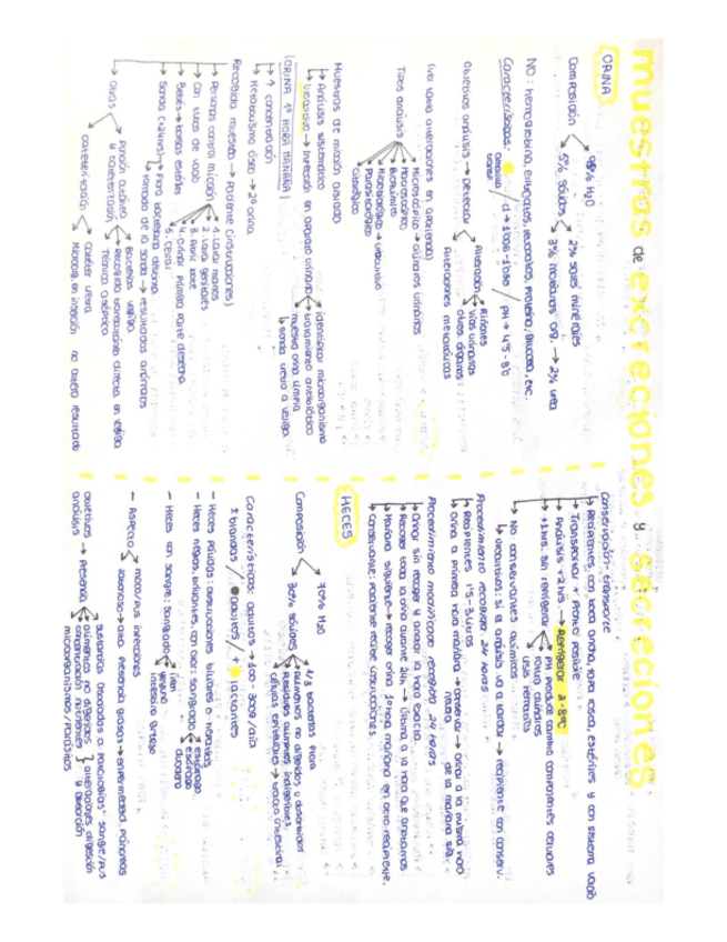 Miniatura del documento muestras-de-excreciones-y-secreciones.pdf