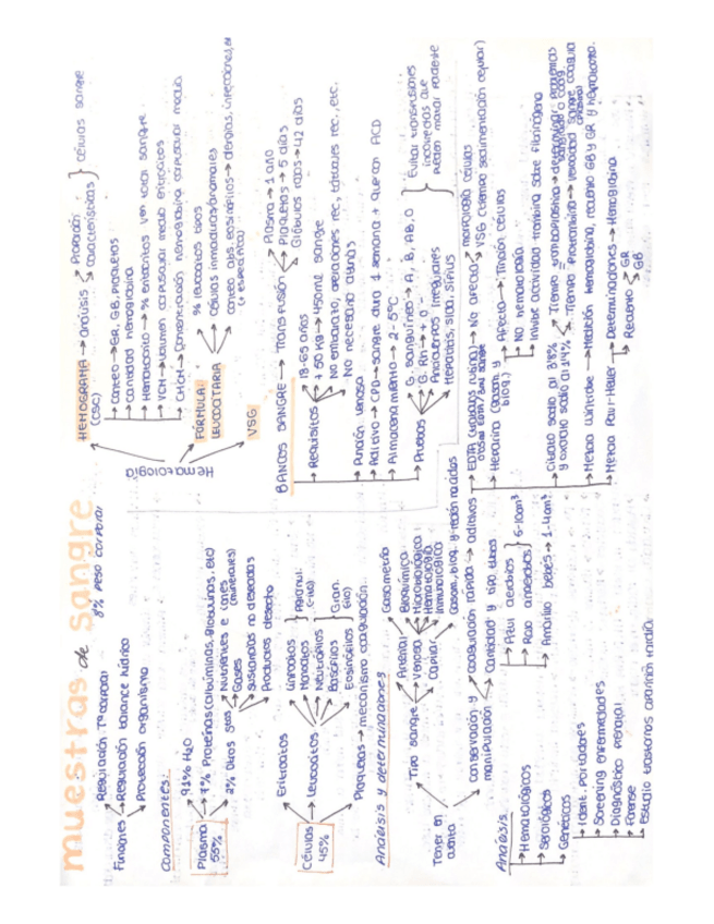 Miniatura del documento muestras-de-sangre.pdf