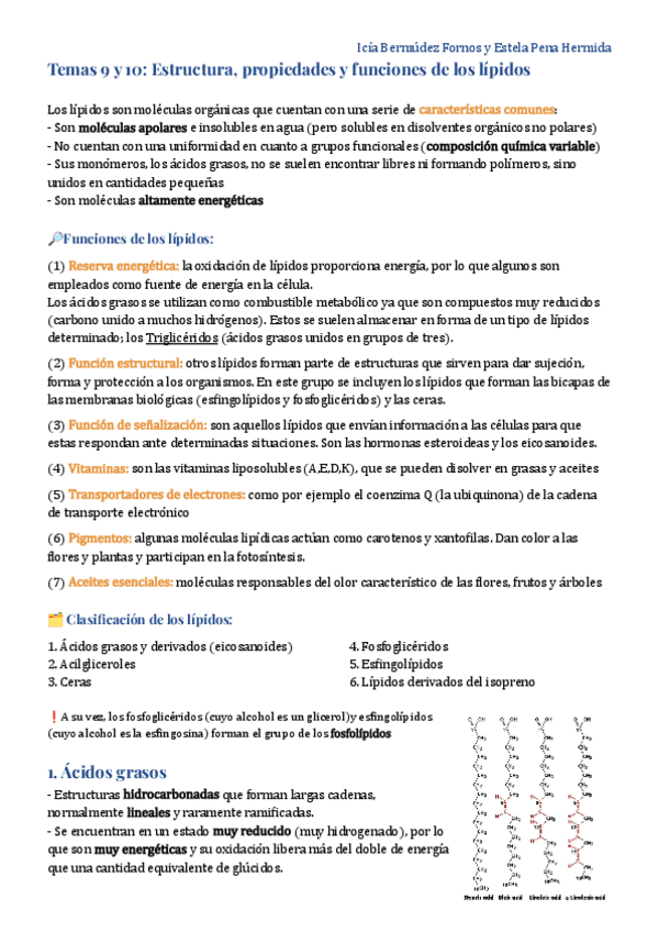 Miniatura del documento Tema-9-y-10-Lipidos-2.pdf