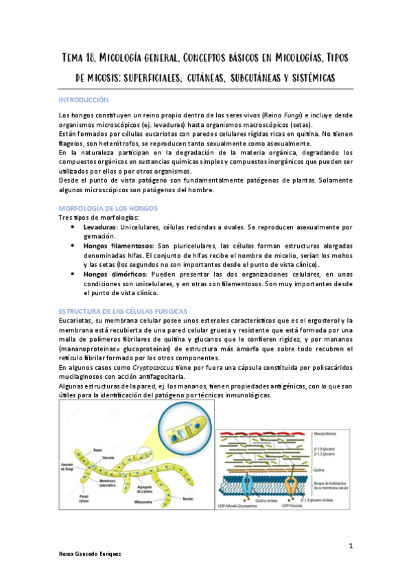 Miniatura del documento Tema-18-micro.pdf