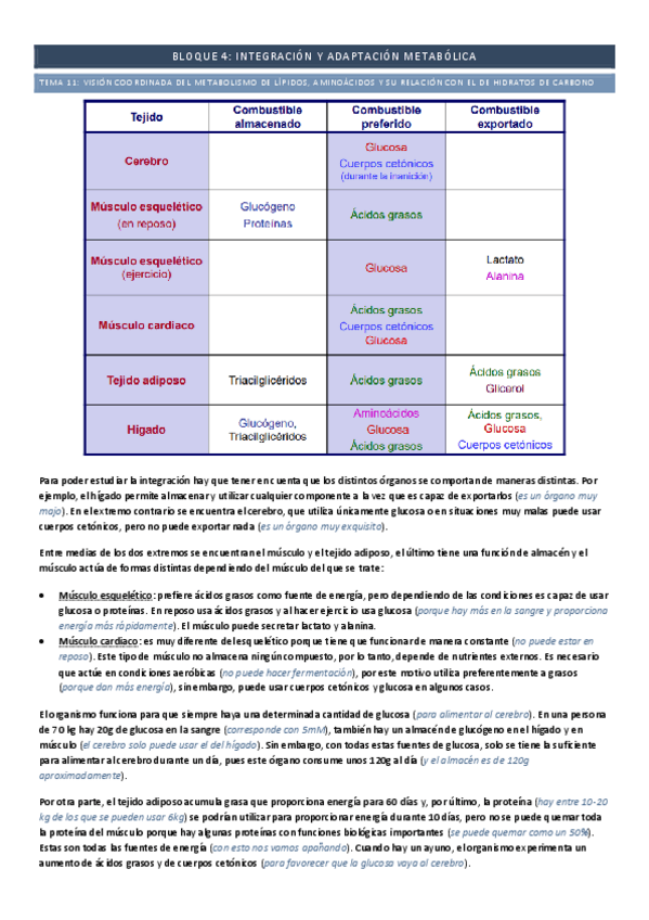 Miniatura del documento Bloque-4-integracion-y-adaptacion-metabolica-le-falta-un-cachito.pdf