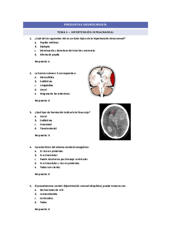 Miniatura del documento PREGUNTAS-TEMA-1-NQX.pdf