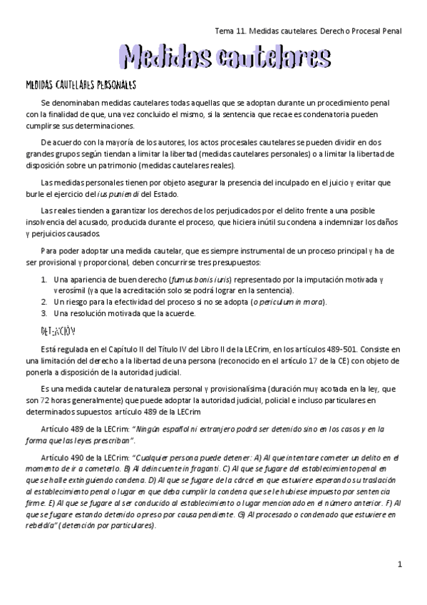 Miniatura del documento Tema-11.-Medidas-cauterales.-Derecho-Procesal-Penal.pdf
