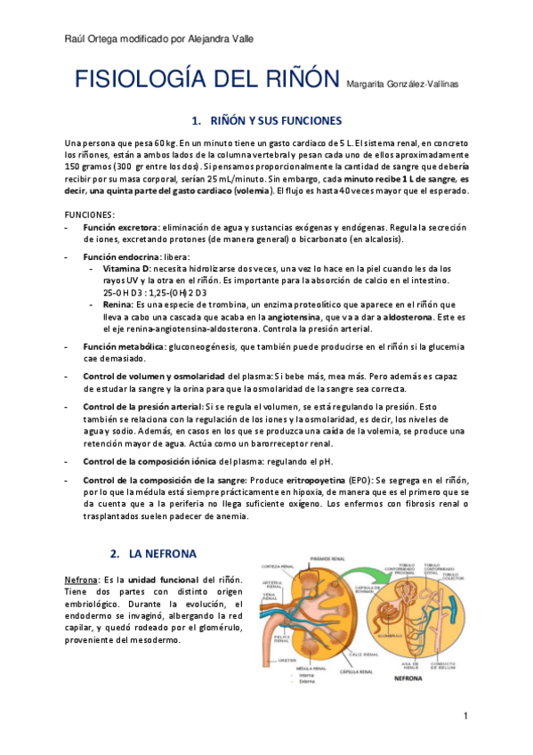 Miniatura del documento FISIOLOGIA-RENAL.pdf