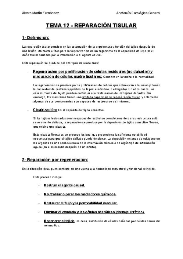 Miniatura del documento TEMA-12-REPARACION-TISULAR.pdf