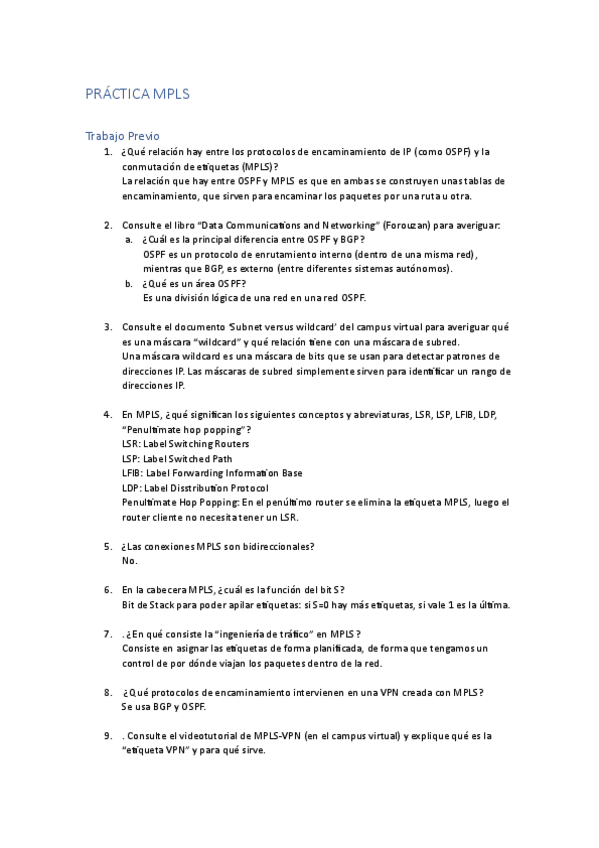 Miniatura del documento MemoriaMPLS.pdf