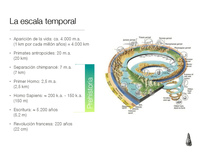 Miniatura del documento Diapos-tema-2.pdf