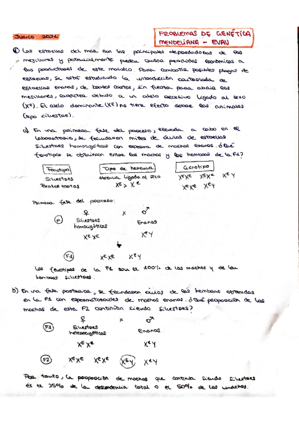 Miniatura del documento Problemas-Genetica-Resueltos-EvAU-Castilla-La-Mancha.pdf