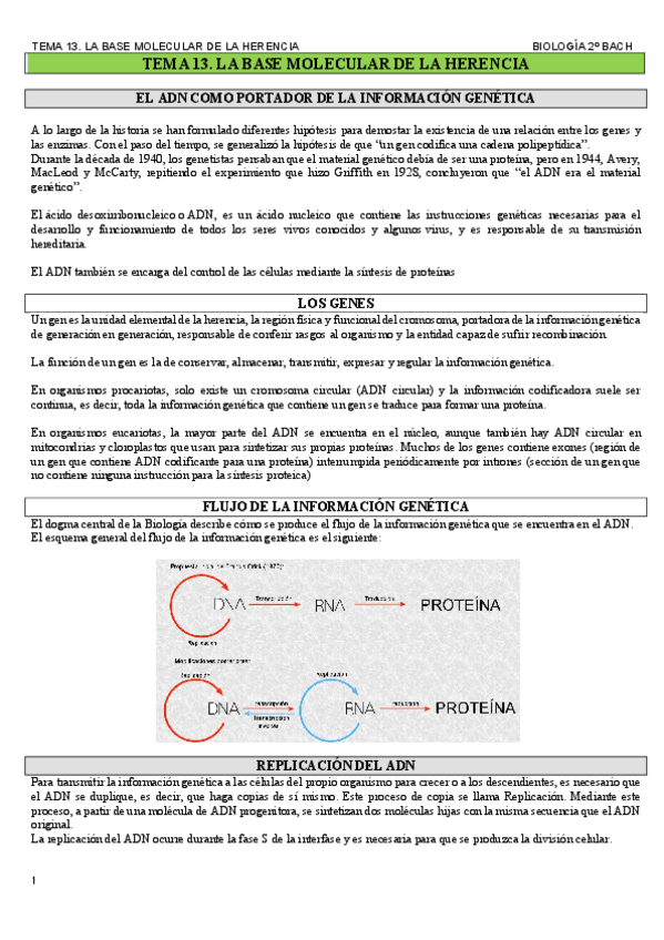 Miniatura del documento TEMA-13.-LA-BASE-MOLECULAR-DE-LA-HERENCIA..pdf