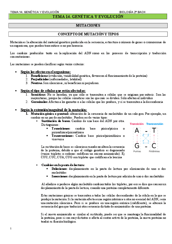 Miniatura del documento TEMA-14.-GENETICA-Y-EVOLUCION.pdf