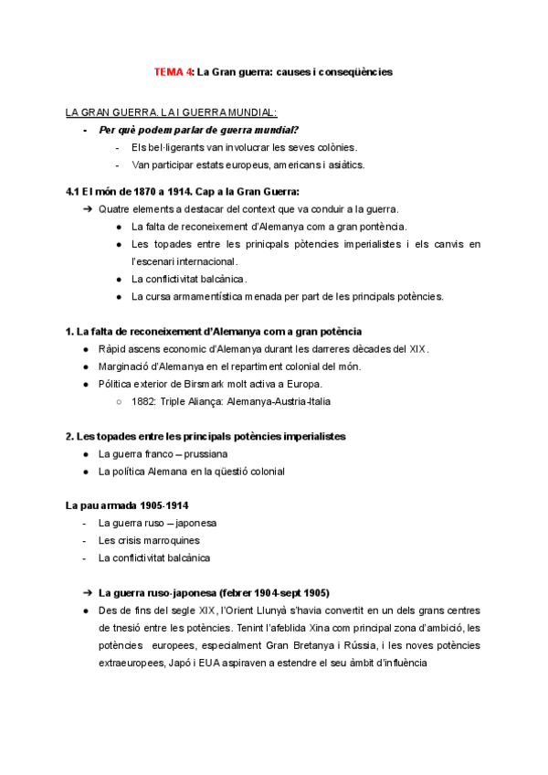 Miniatura del documento T4-La-Gran-guerra-causes-i-consequencies..pdf