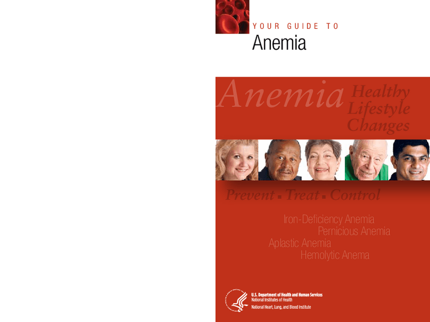 Miniatura del documento 29.-Your-guide-to-anemia-Ingles.pdf