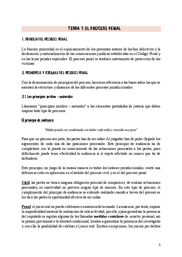 Miniatura del documento Temario-completo-Procesal-Penal.pdf