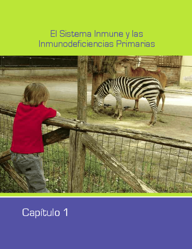 Miniatura del documento 13.-El-Sistema-Inmune-y-las-Inmunodeficiencias-Primarias.pdf