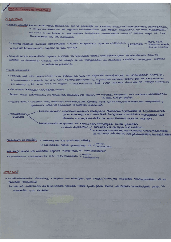 Miniatura del documento RESUMEN ENTERO MICRO (T1-T8)- M.I.pdf