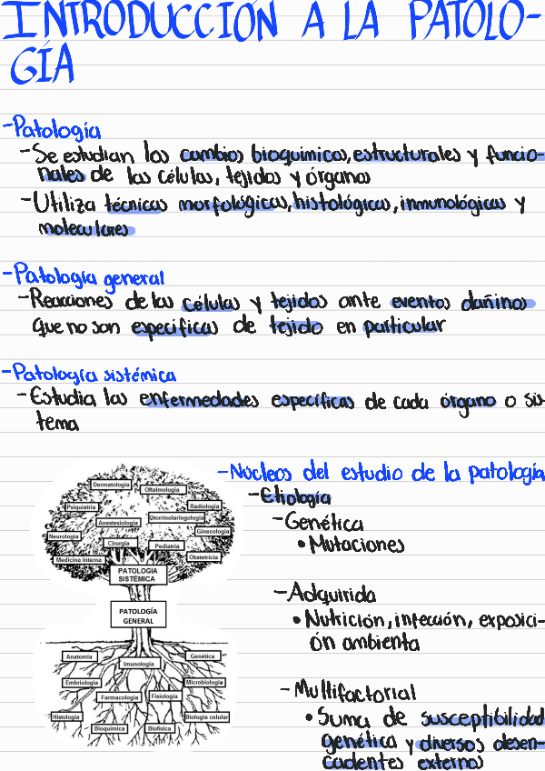 Miniatura del documento Introduccion-a-la-patologia.pdf