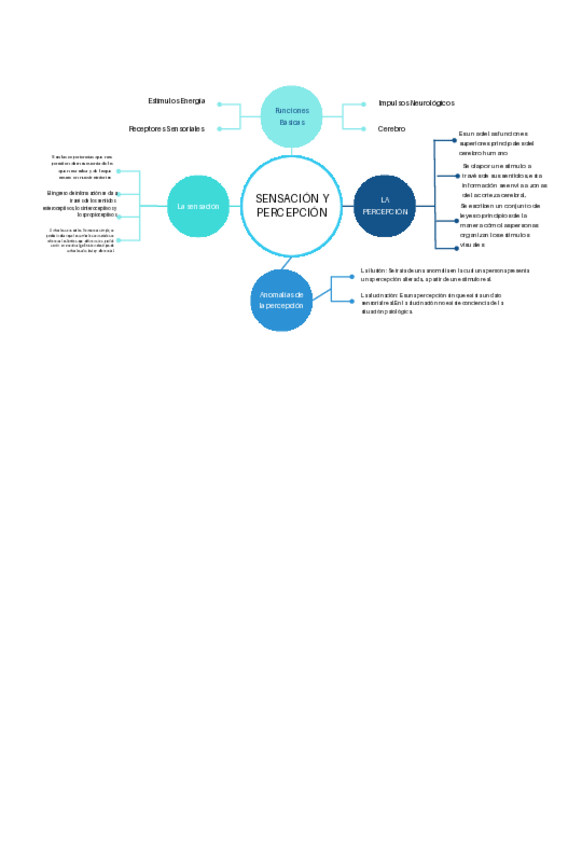 Miniatura del documento SENSACION-Y-PERCEPCION.pdf