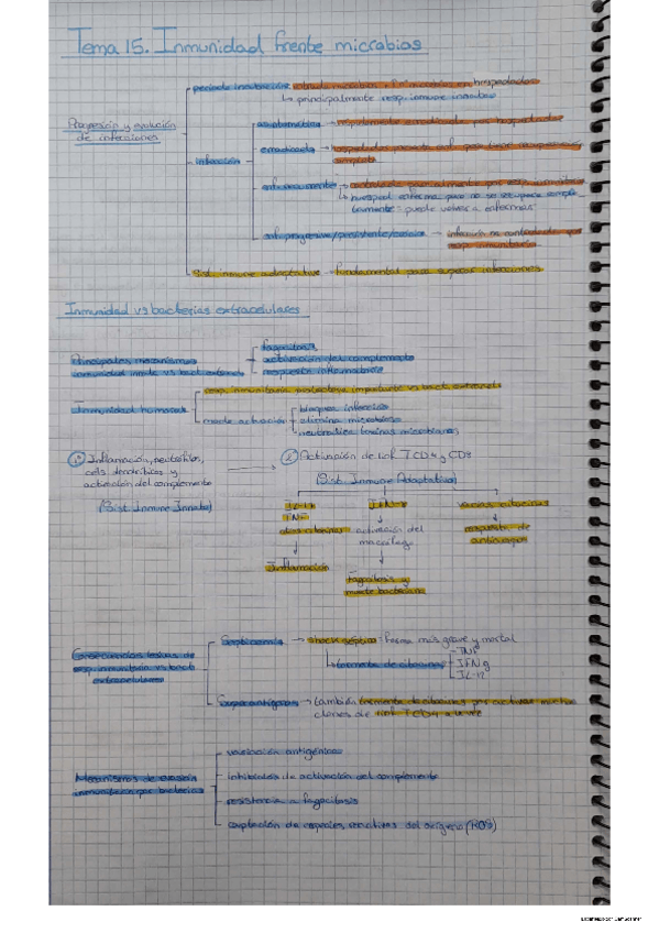 Miniatura del documento Tema 15 Inmuno.pdf