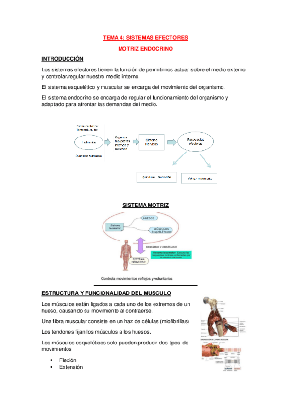 Miniatura del documento Tema-4.pdf