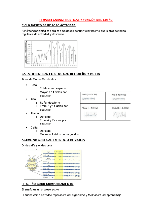 Miniatura del documento Tema-5b.pdf