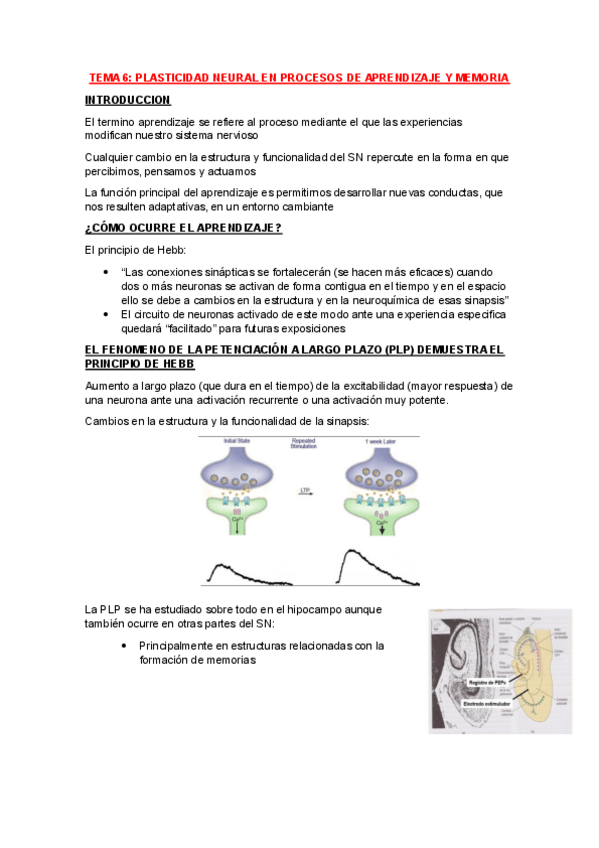 Miniatura del documento Tema-6.pdf