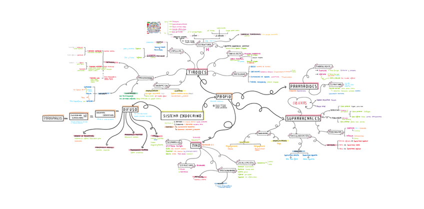 Miniatura del documento Seminario-23-SISTEMA-ENDOCRINO.pdf