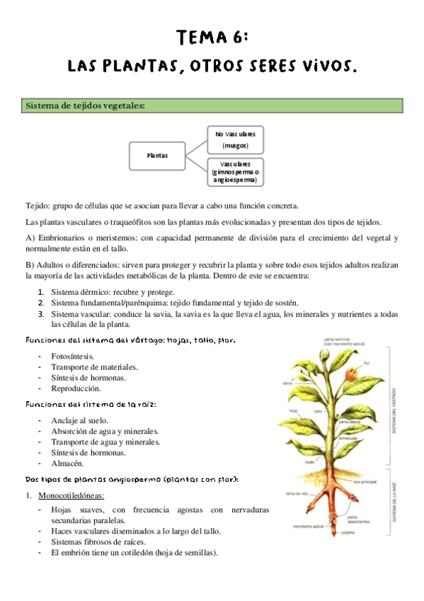Miniatura del documento Tema-6-Ciencias-de-la-Vida.pdf
