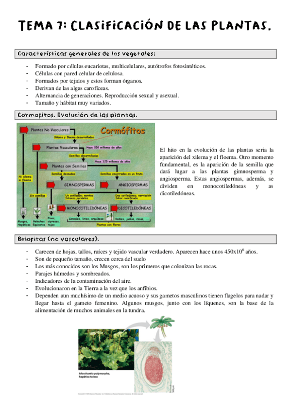 Miniatura del documento Tema-7-Ciencias-de-la-Vida.pdf