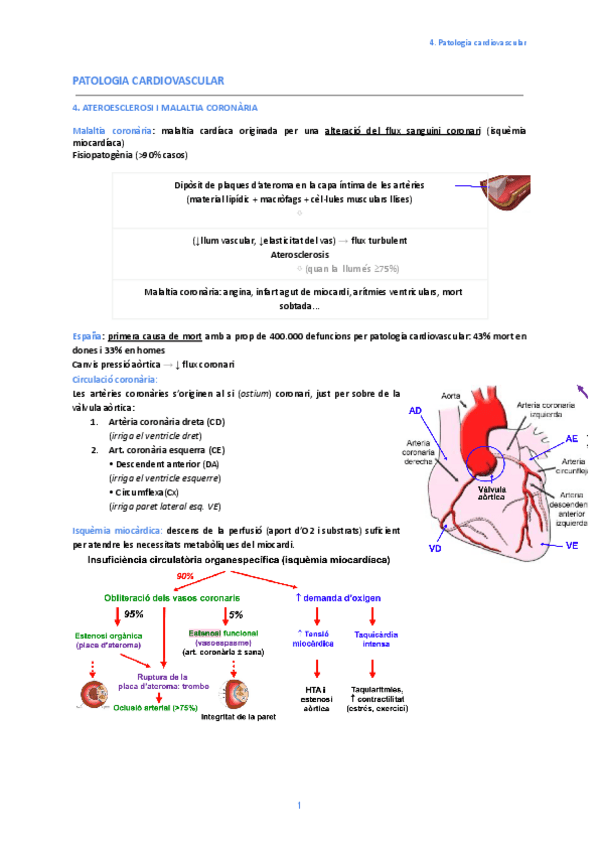 Miniatura del documento 4.-Ateroesclerosi-i-malaltia-coronaria.pdf