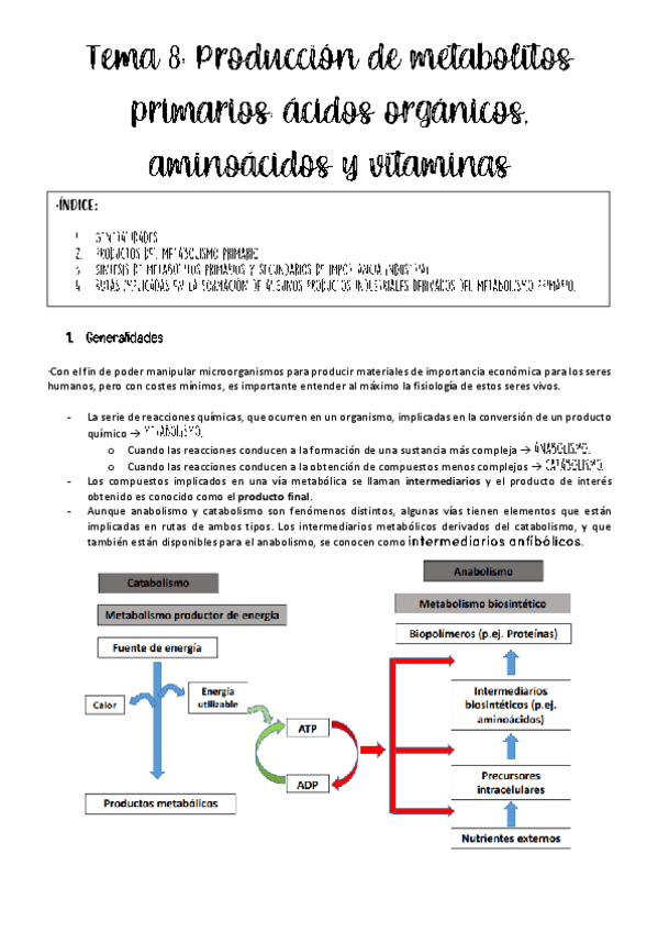 Miniatura del documento tema-8-biotec-microb.pdf
