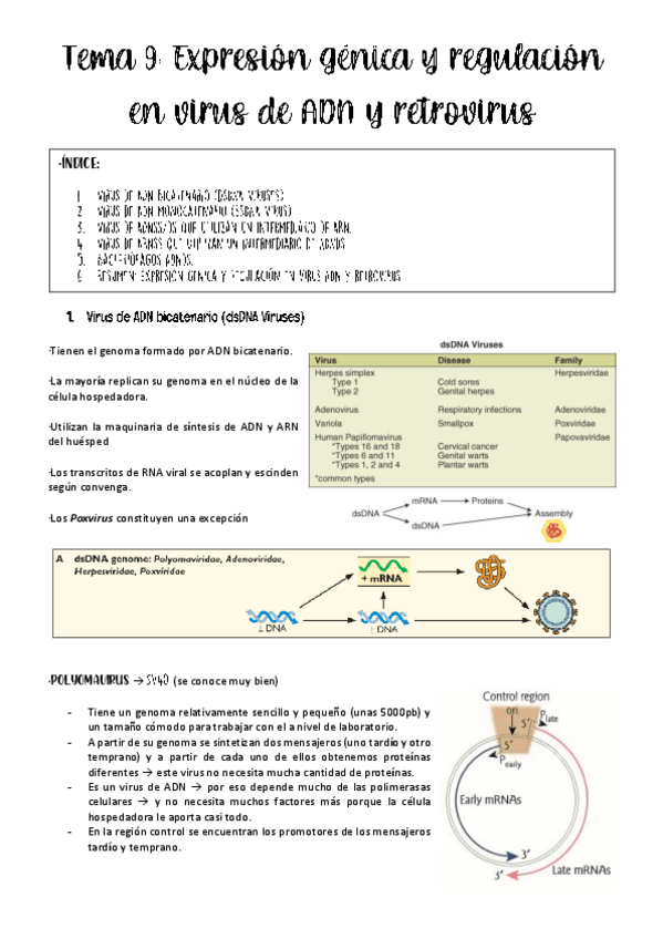 Miniatura del documento tema-9-virologia.pdf