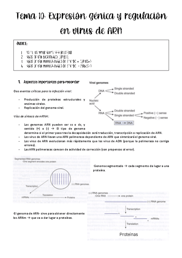 Miniatura del documento tema-10-virologia.pdf