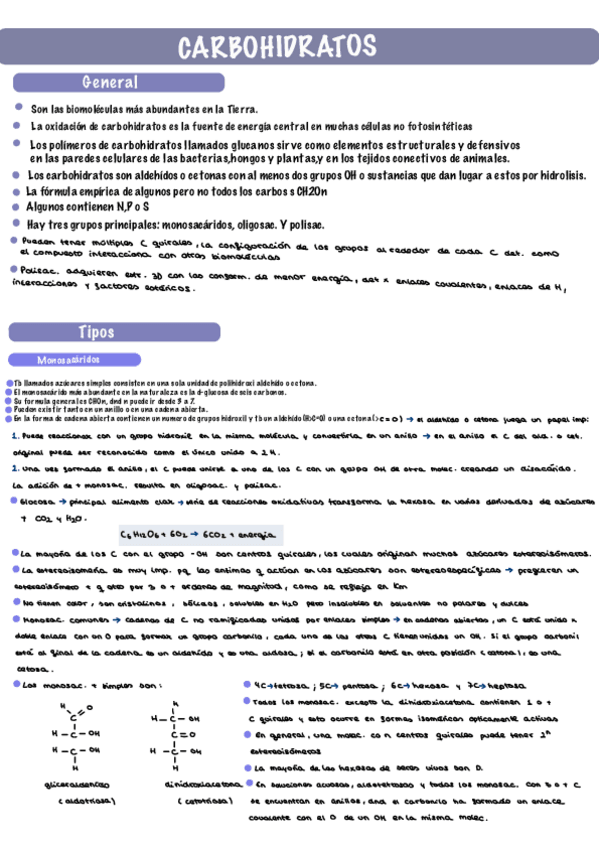 Miniatura del documento Tema-1.-Carbohidratos.pdf
