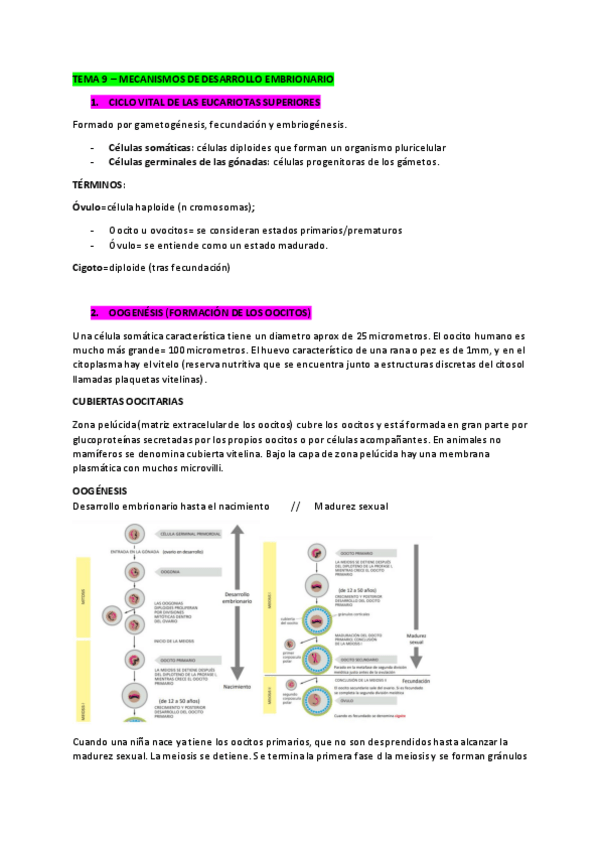 Miniatura del documento CeH-Tema-9.pdf