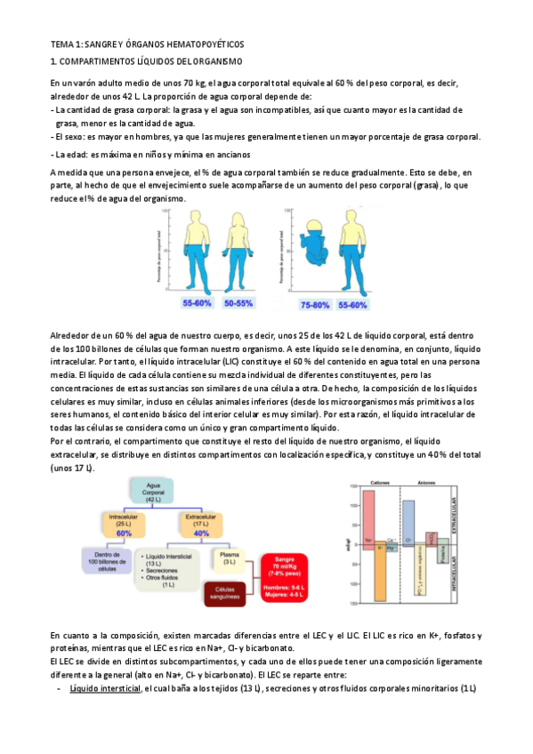 Miniatura del documento Primer-parcial-fisio-II.pdf
