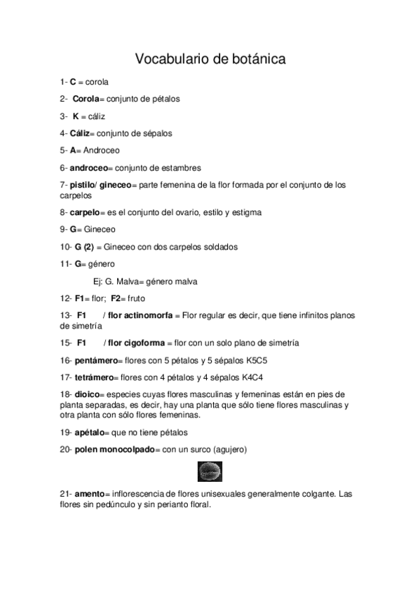 Miniatura del documento Vocabulario de botánica.docx
