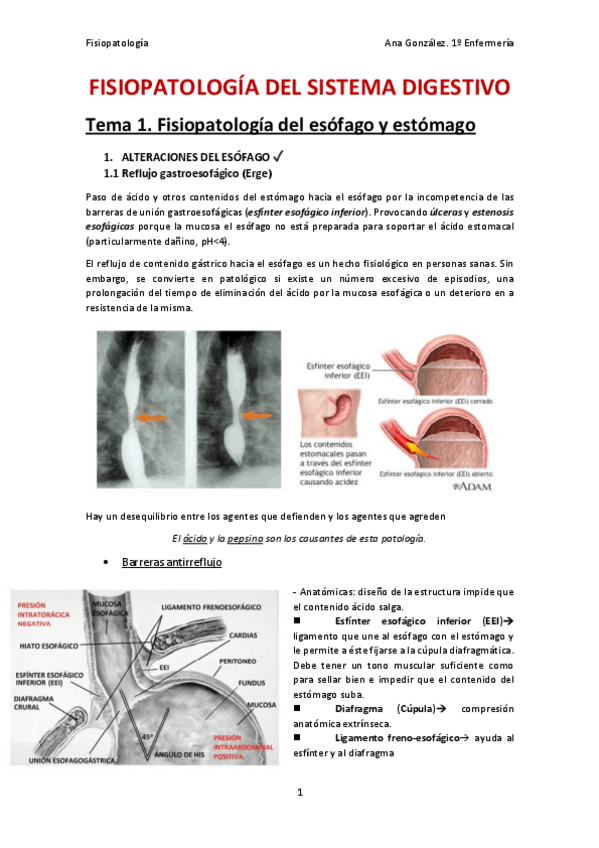 Miniatura del documento Fisiopatologia-del-Sistema-Digestivo.pdf