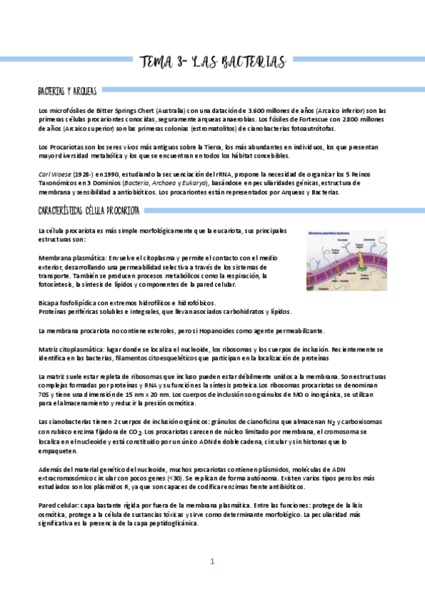 Miniatura del documento T3Micro.pdf