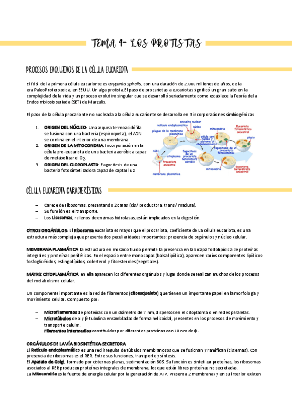 Miniatura del documento T4Micro.pdf