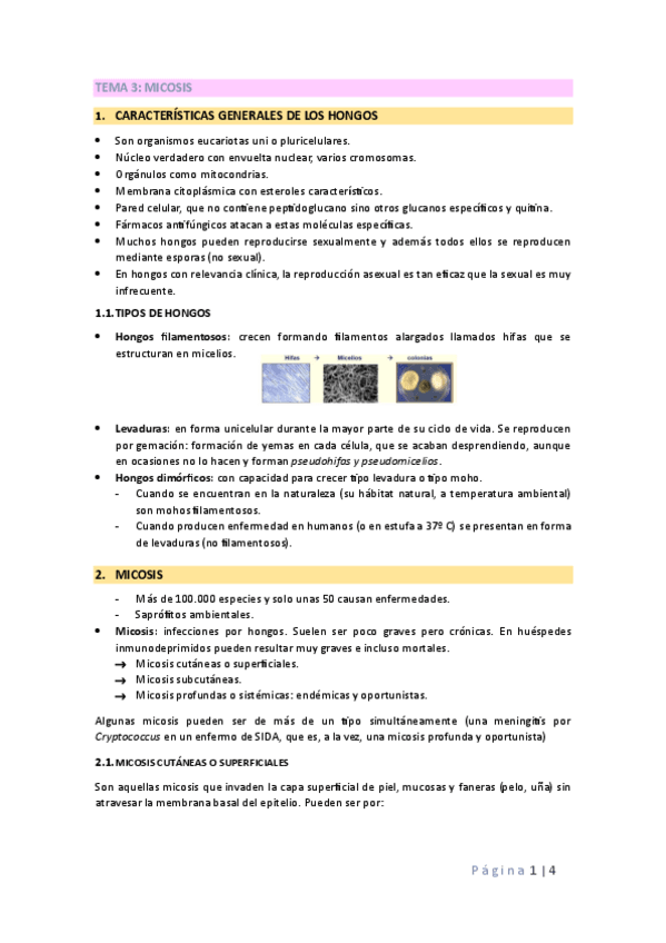 Miniatura del documento TEMA-3-MICRO.pdf