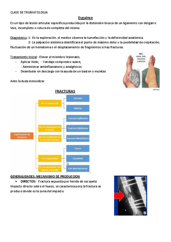 Miniatura del documento Traumatologia-general.pdf