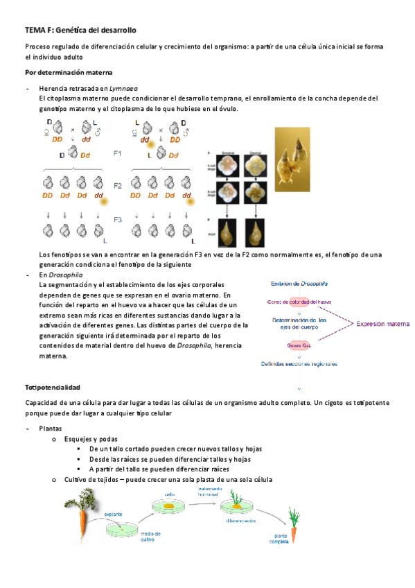 Miniatura del documento Tema-F.gen.pdf