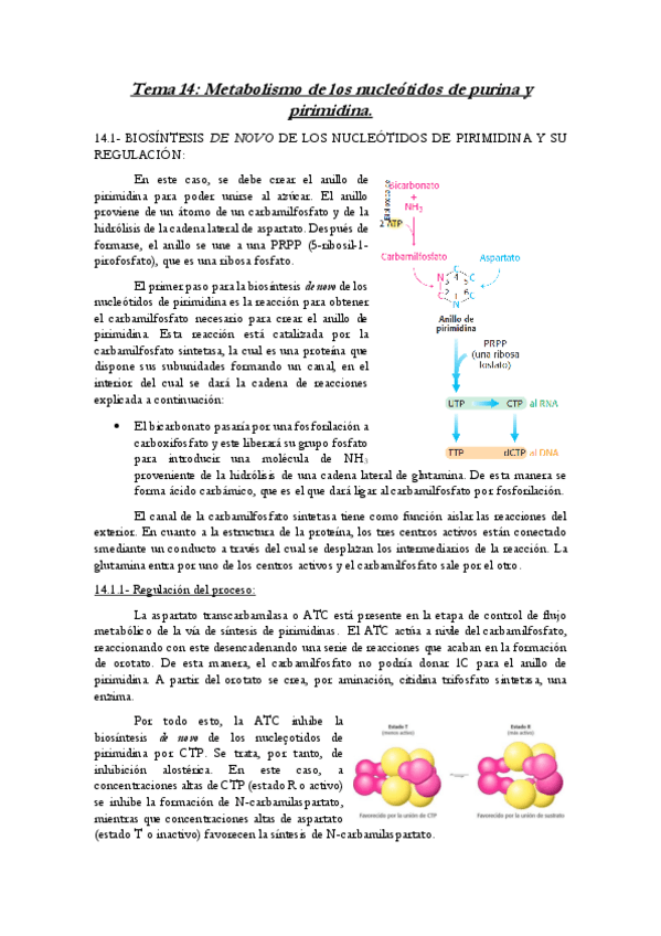 Miniatura del documento Tema-14-ByM.pdf