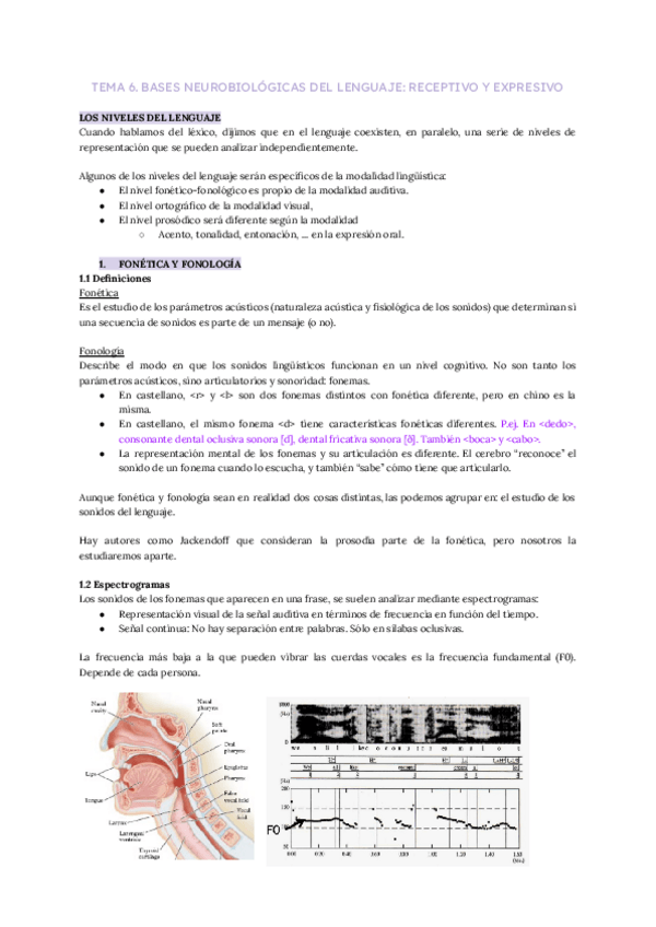 Miniatura del documento TEMA-6.-BASES-NEUROBIOLOGICAS-DEL-LENGUAJE-RECEPTIVO-Y-EXPRESIVO.pdf