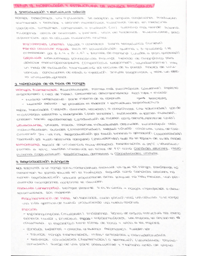 Miniatura del documento Resumen-Micro-2o-Parcial.pdf