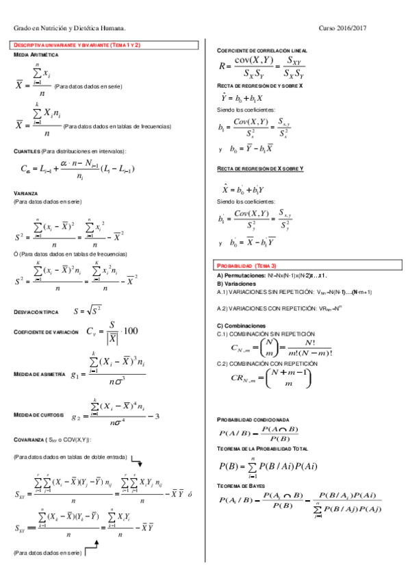 Miniatura del documento resumen descriptiva.pdf