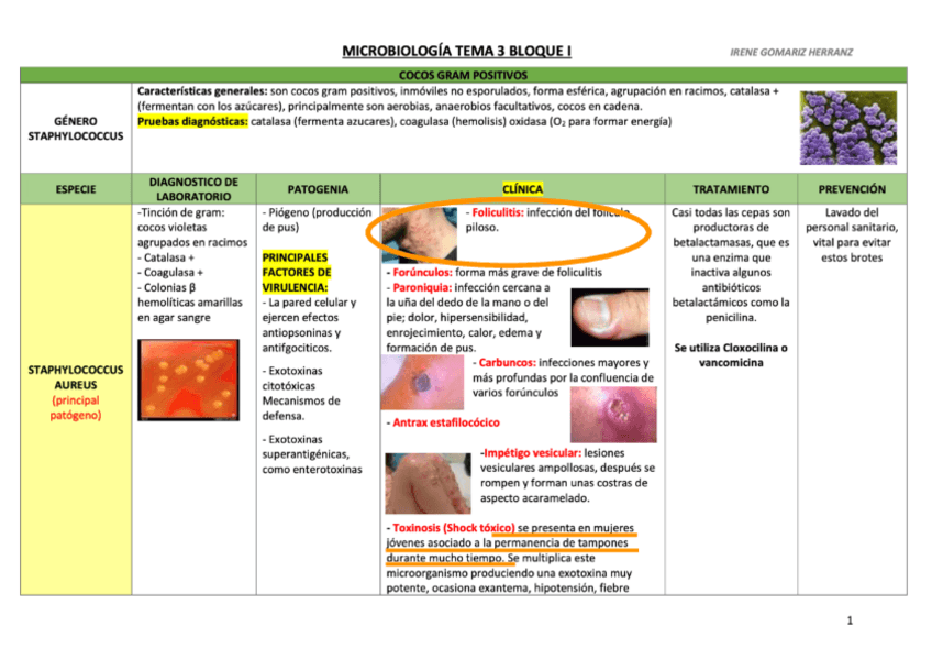 Miniatura del documento TABLAS-BACTERIAS.pdf