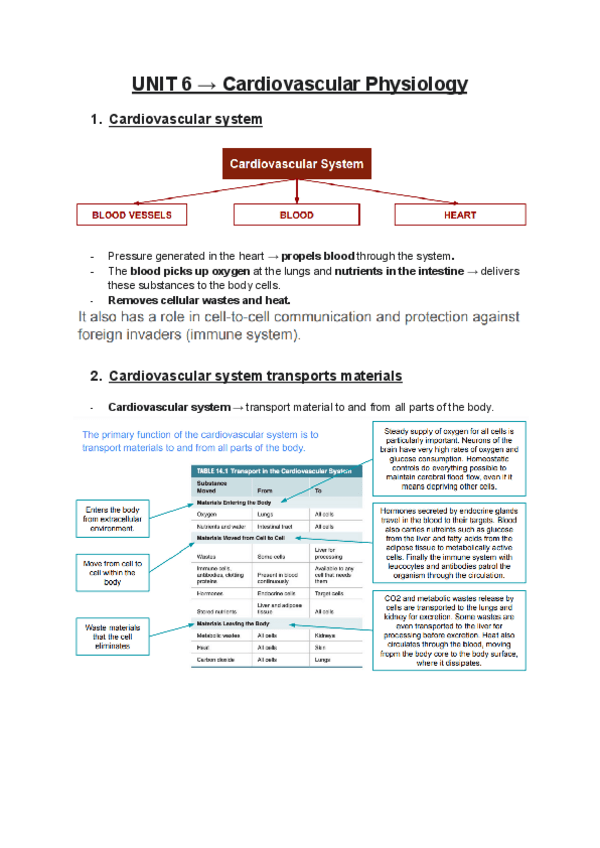 Miniatura del documento UNIT 6-CARDIOVASCULAR PHYSIOLOGY.pdf