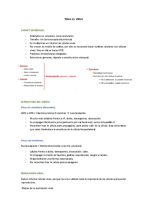 Miniatura del documento 11.-Virus.pdf